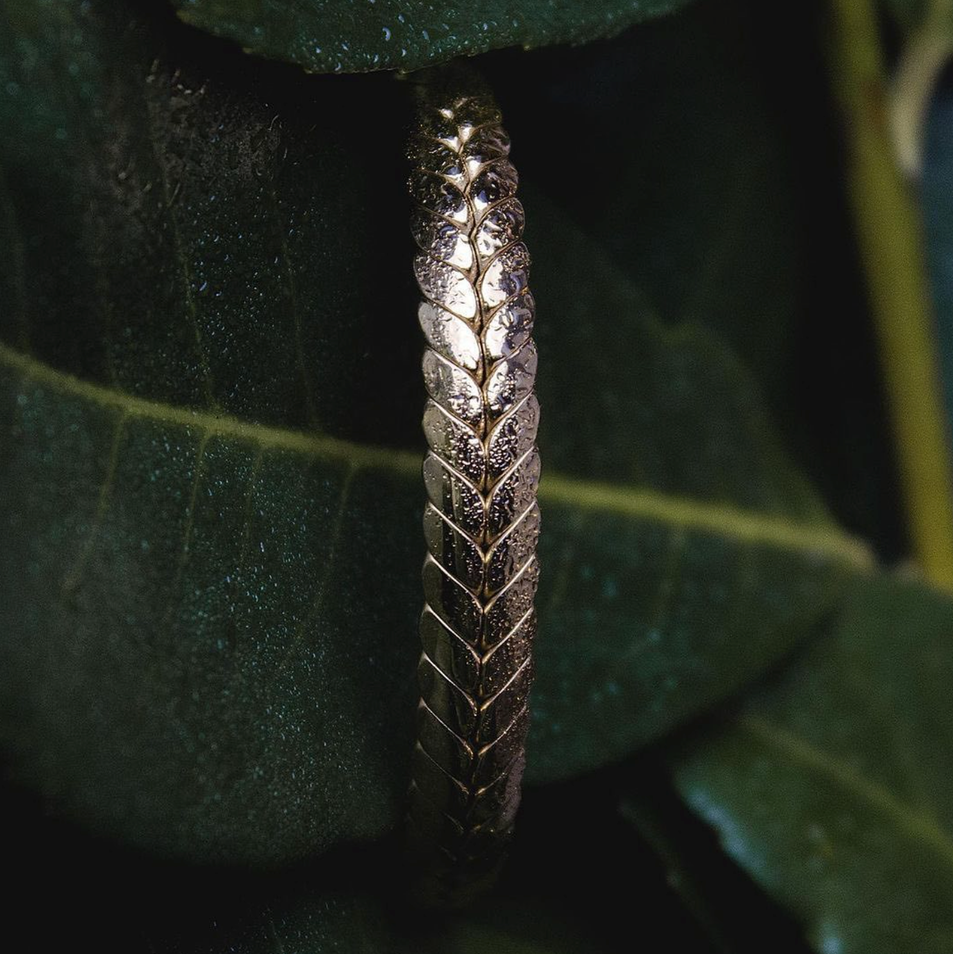 Bracelete Hector Silver