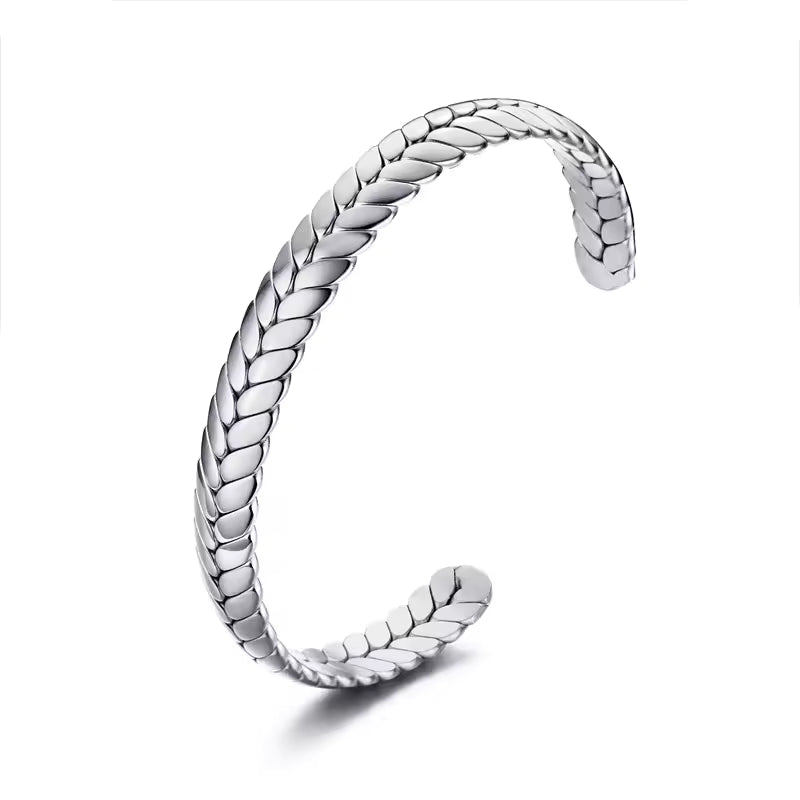 Bracelete Hector Silver