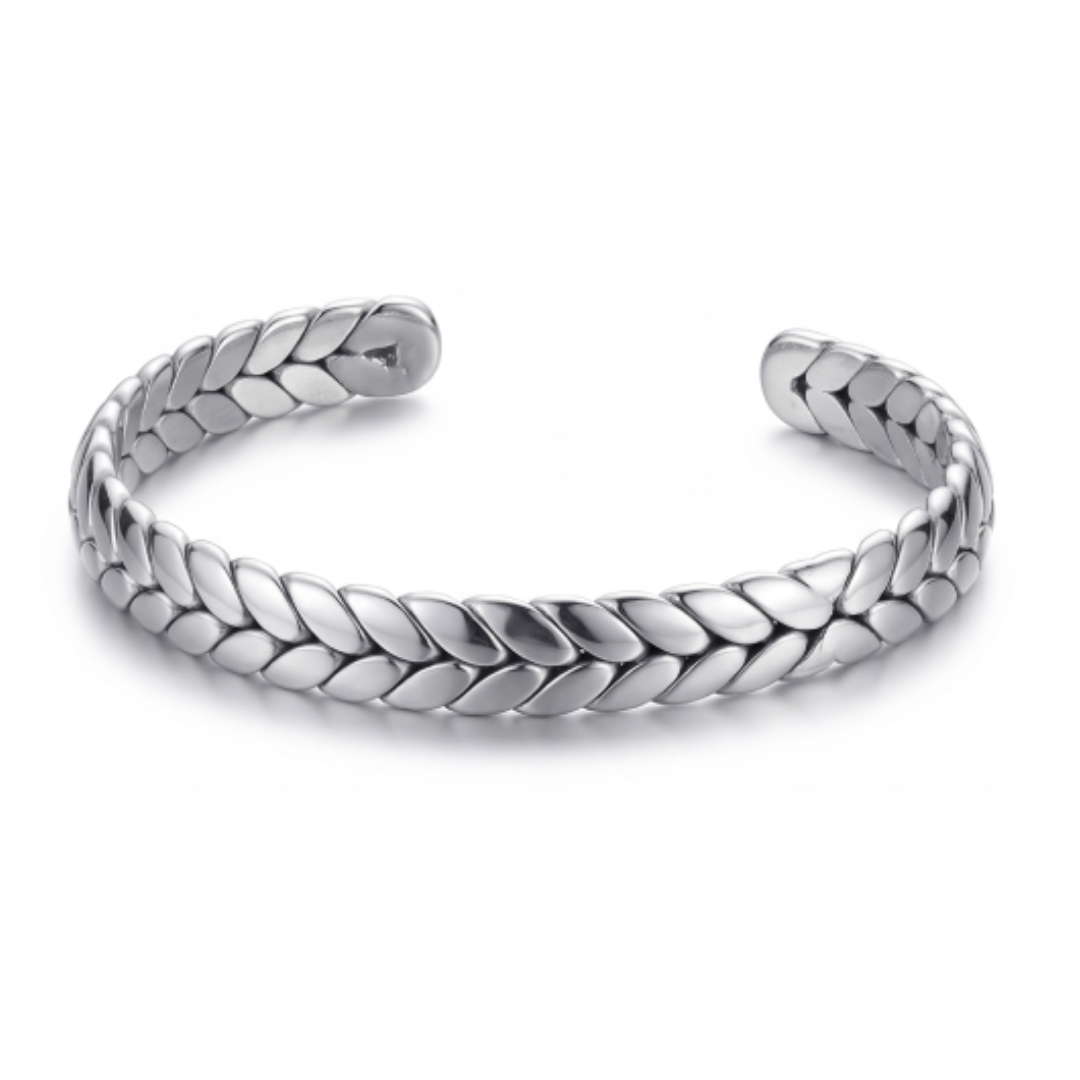 Bracelete Hector Silver